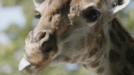 Similar image 21771098