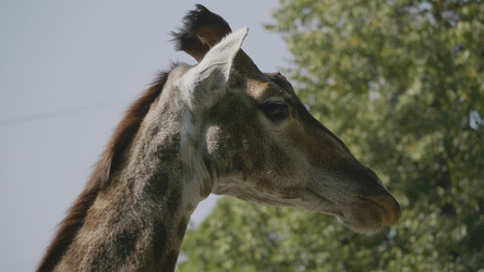 Similar image 21771100