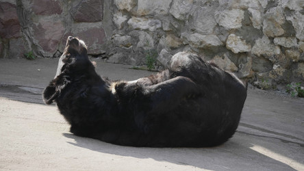 Similar image 21771101