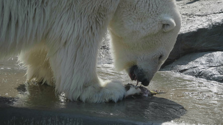 Similar image 21771114