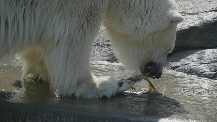 Similar image 21771115