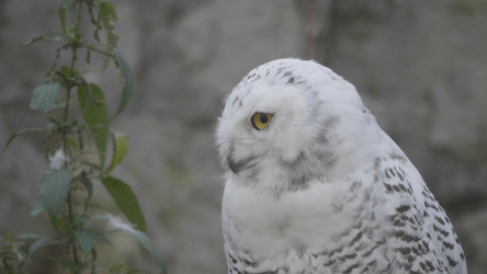 Similar image 21771117