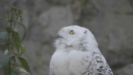 Similar image 21771118