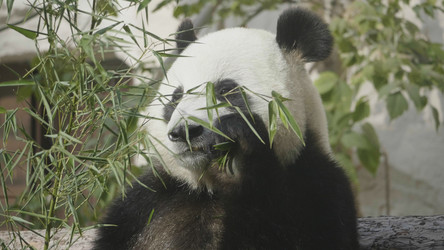 Similar image 21771119