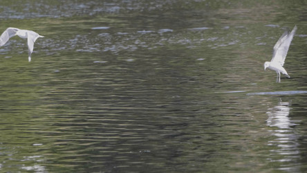 Similar image 21771120