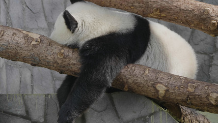 Similar image 21771121