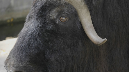 Similar image 21770278