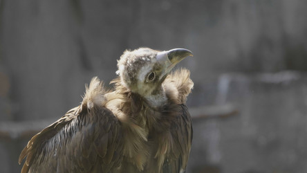 Similar image 21770285