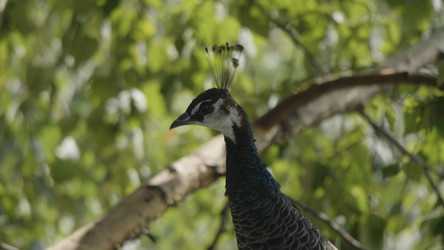 Similar image 21770287