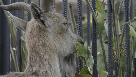 Similar image 21770293