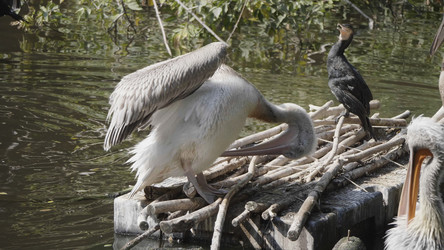 Similar image 21770294