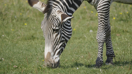 Similar image 21770466