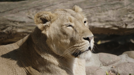 Similar image 21770469