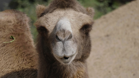 Similar image 21770475