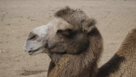 Similar image 21770477