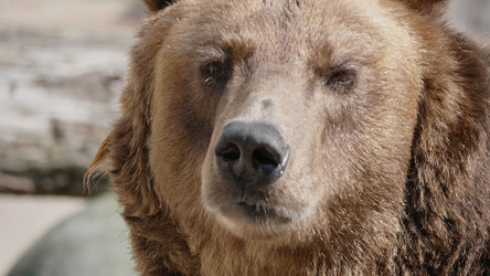 Similar image 21770478