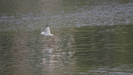 Similar image 21770479