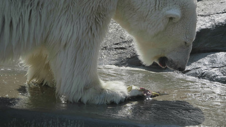 Similar image 21770858