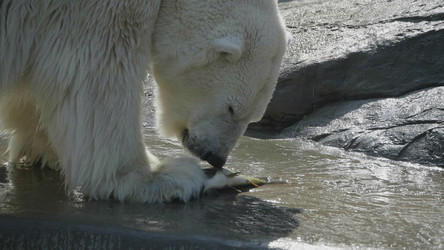 Similar image 21770860