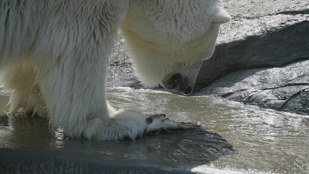 Similar image 21770862