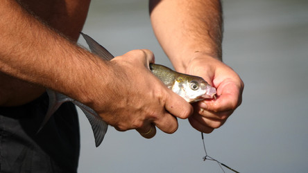 Similar image 21770863