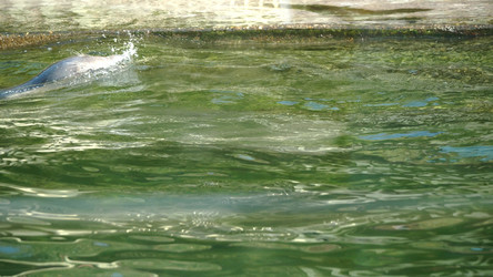 Similar image 21770873