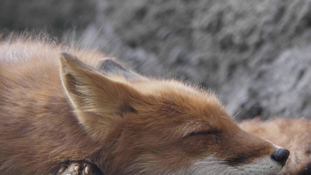 Similar image 21771125