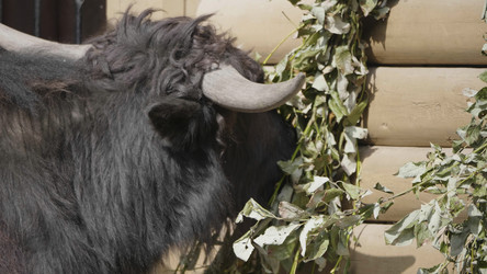 Similar image 21771126