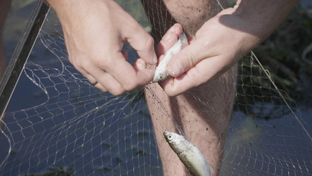 Similar image 21771127