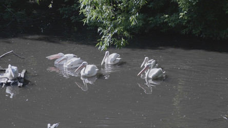 Similar image 21771341