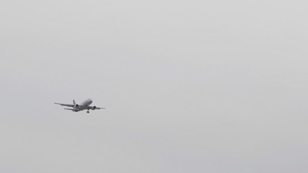 Similar image 21771348