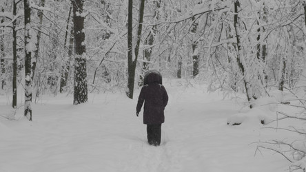 Similar image 21771353