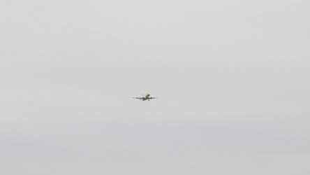 Similar image 21770297