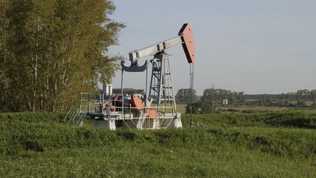 Similar image 21770298