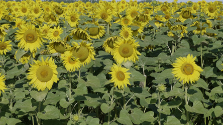 Similar image 21770300