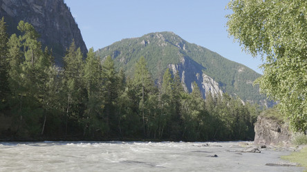 Similar image 21770307