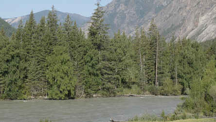 Similar image 21770481