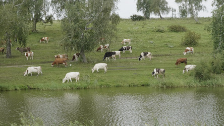 Similar image 21770483