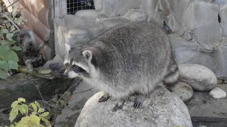 Similar image 21770489