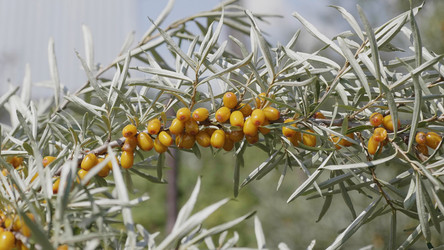 Similar image 21770490