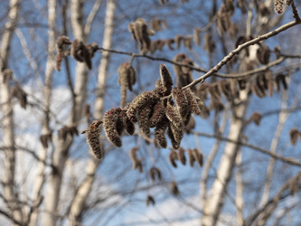 Similar image 21770498