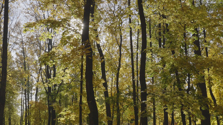 Similar image 21770503