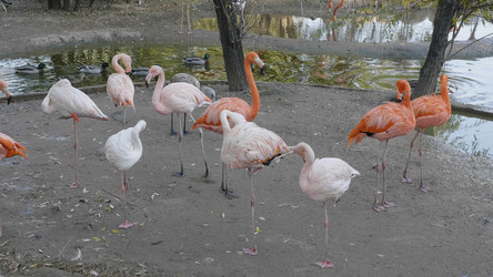 Similar image 21770670