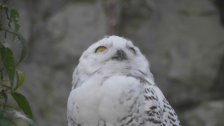 Similar image 21770671