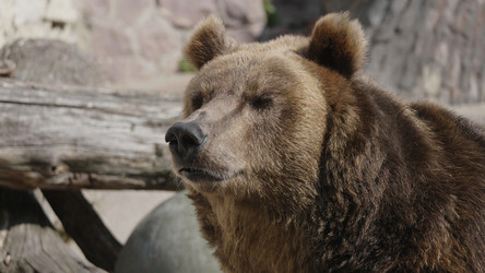 Similar image 21770673