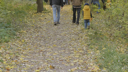 Similar image 21770684