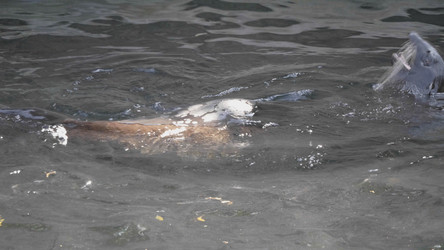 Similar image 21770685