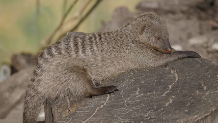 Similar image 21770689