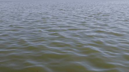 Similar image 21770691