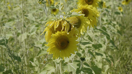 Similar image 21770874